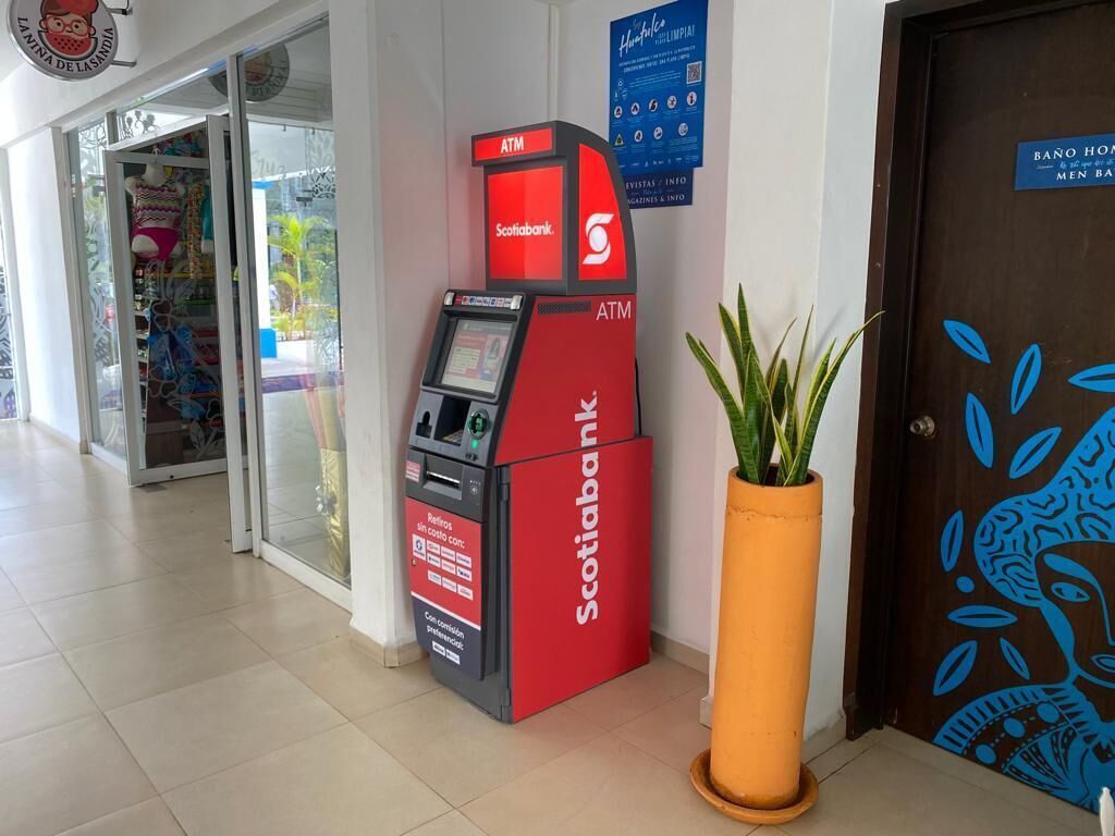An ATM machine, a potted plant, and a door with a blue design.