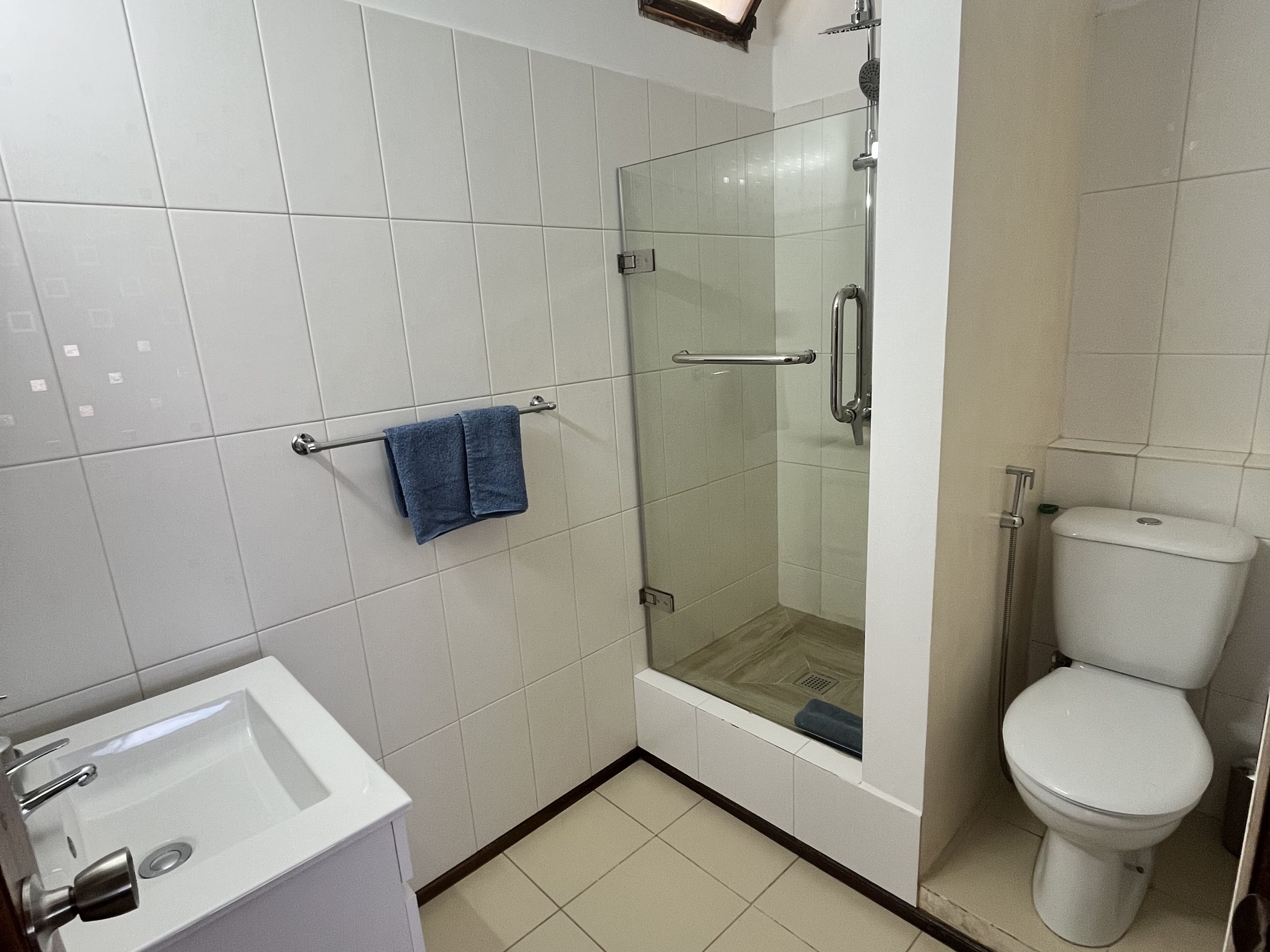 Een badkamer met douche, toilet, wastafel en een handdoekrek.