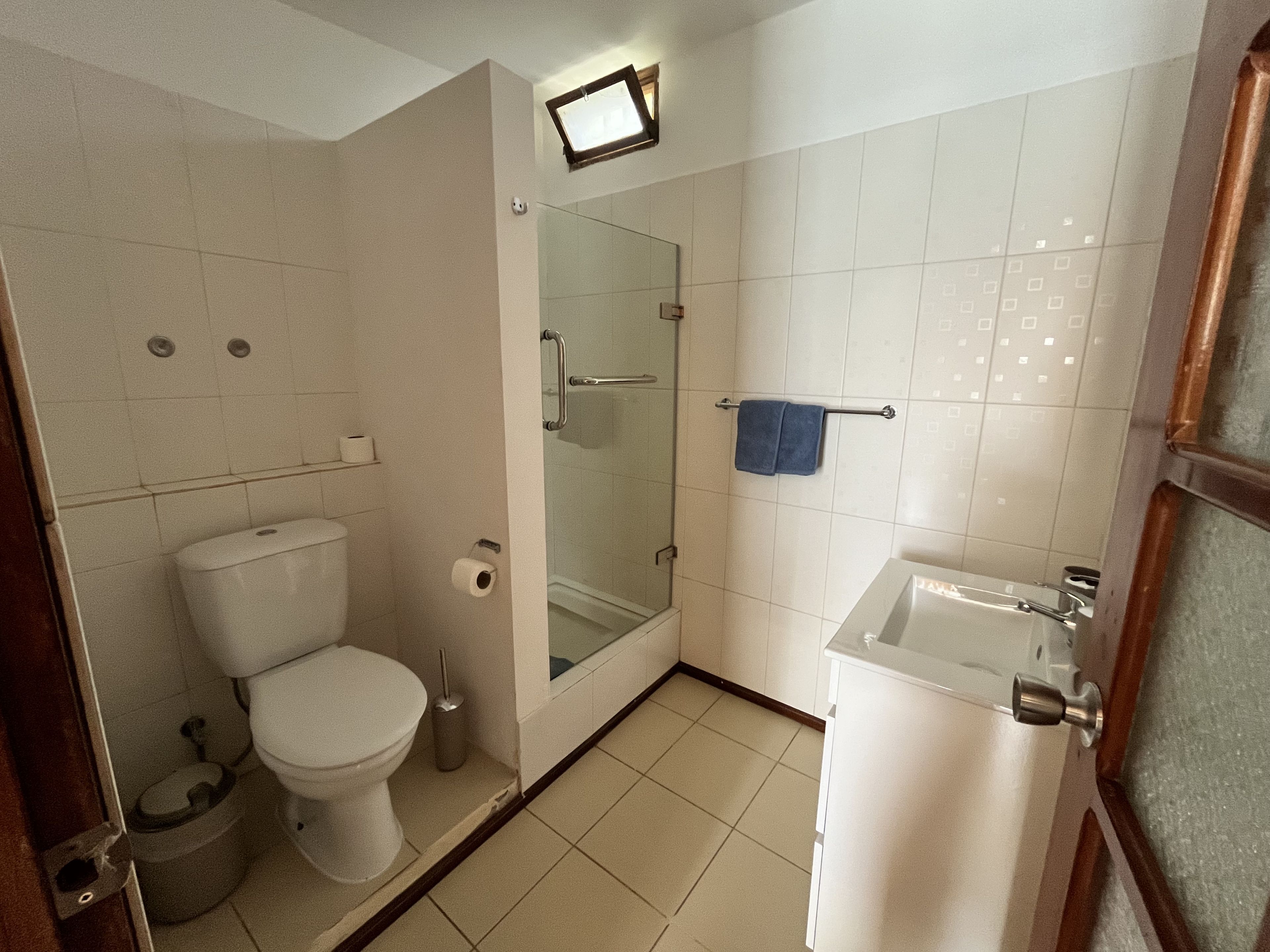 A bathroom with a toilet, a glass-enclosed shower, and a sink.
