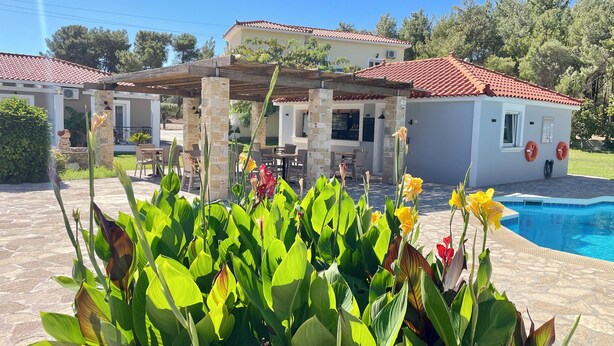 A poolside area with a covered patio, stone pillars, and a white building with a red-tiled roof. - Zeus Hotel (Samos)