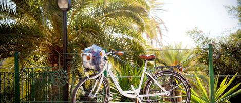A white bicycle with a basket and a seat, parked against a green metal fence with palm trees in the background.