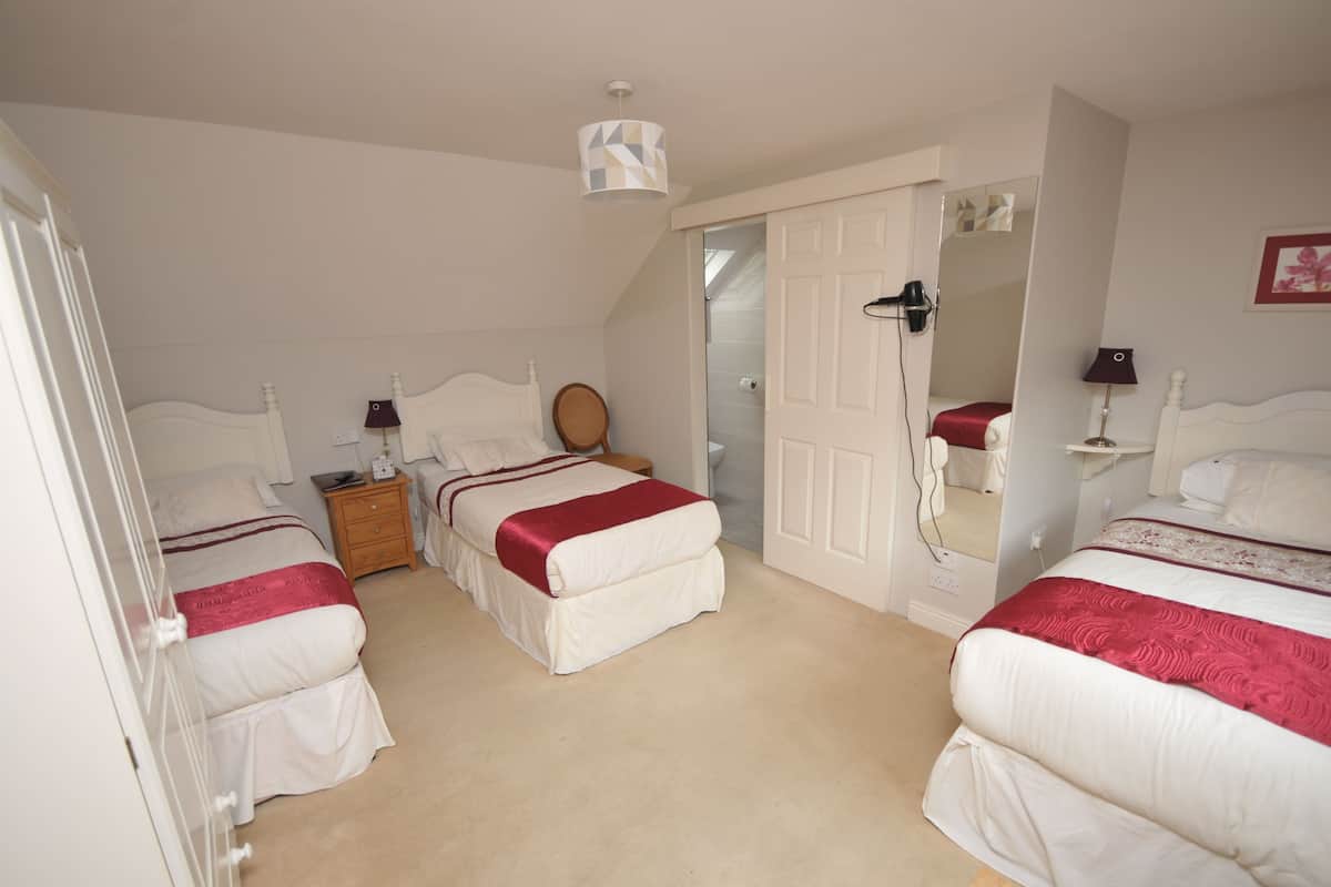 Chambre Triple, salle de bains attenante | Wi-Fi gratuit, draps fournis