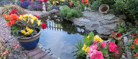 Overnatningsstedets område