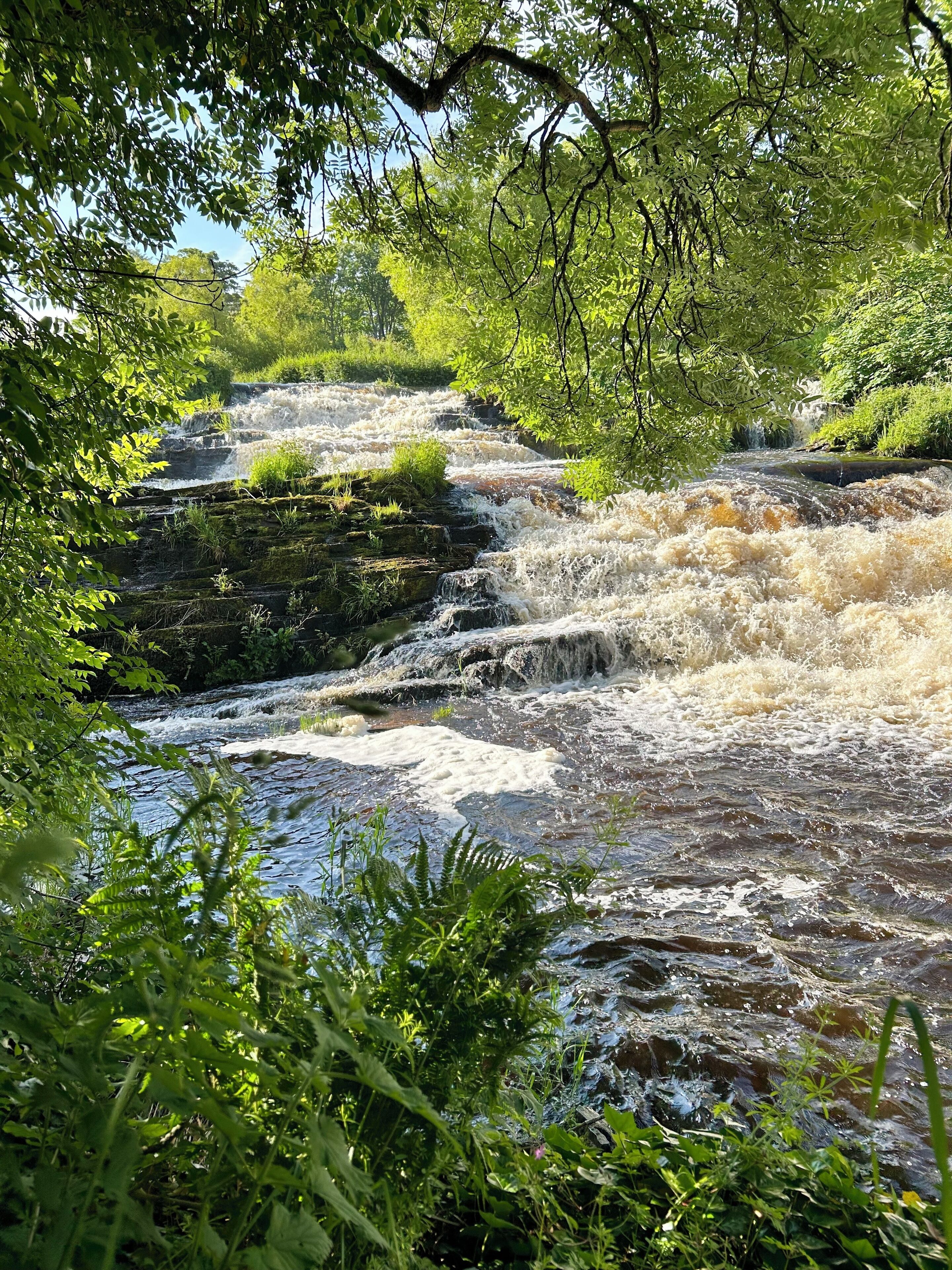 A natural waterfall surrounded by lush greenery.