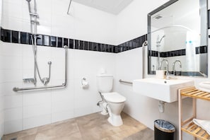 Bathroom features a toilet, sink, and shower with a handheld showerhead.