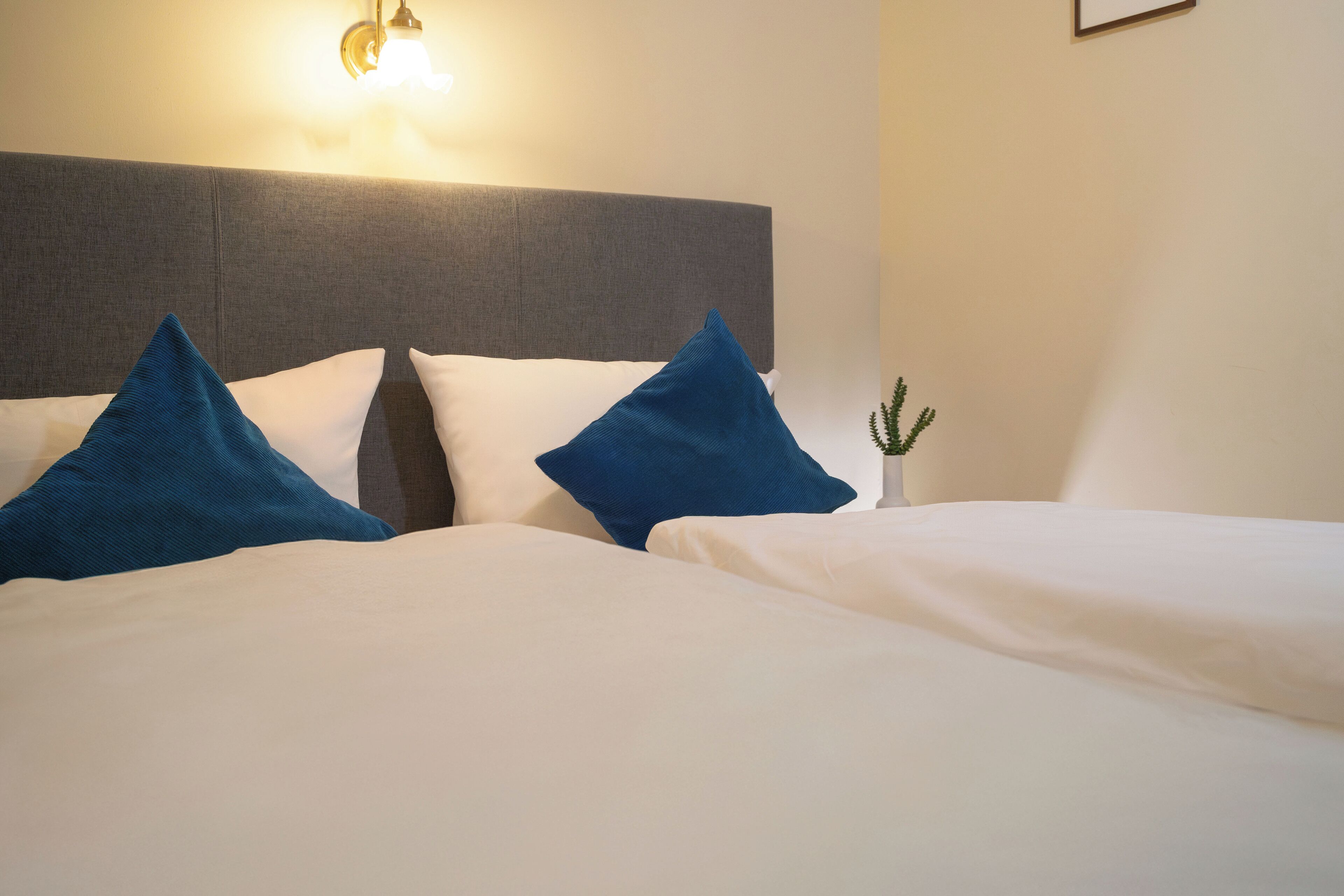 hypo-allergenic bedding, individually decorated, individually furnished