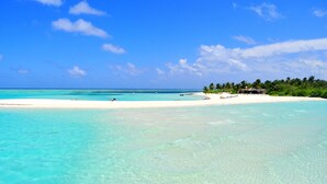 Unclassified image, 2 of 43, button - Fun Island Resort & Spa (Bodufinolhu)