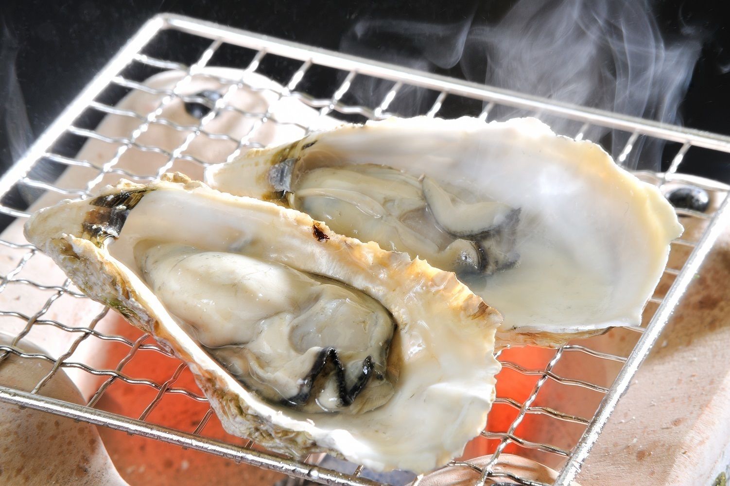 Two oysters on a wire rack over an open flame.