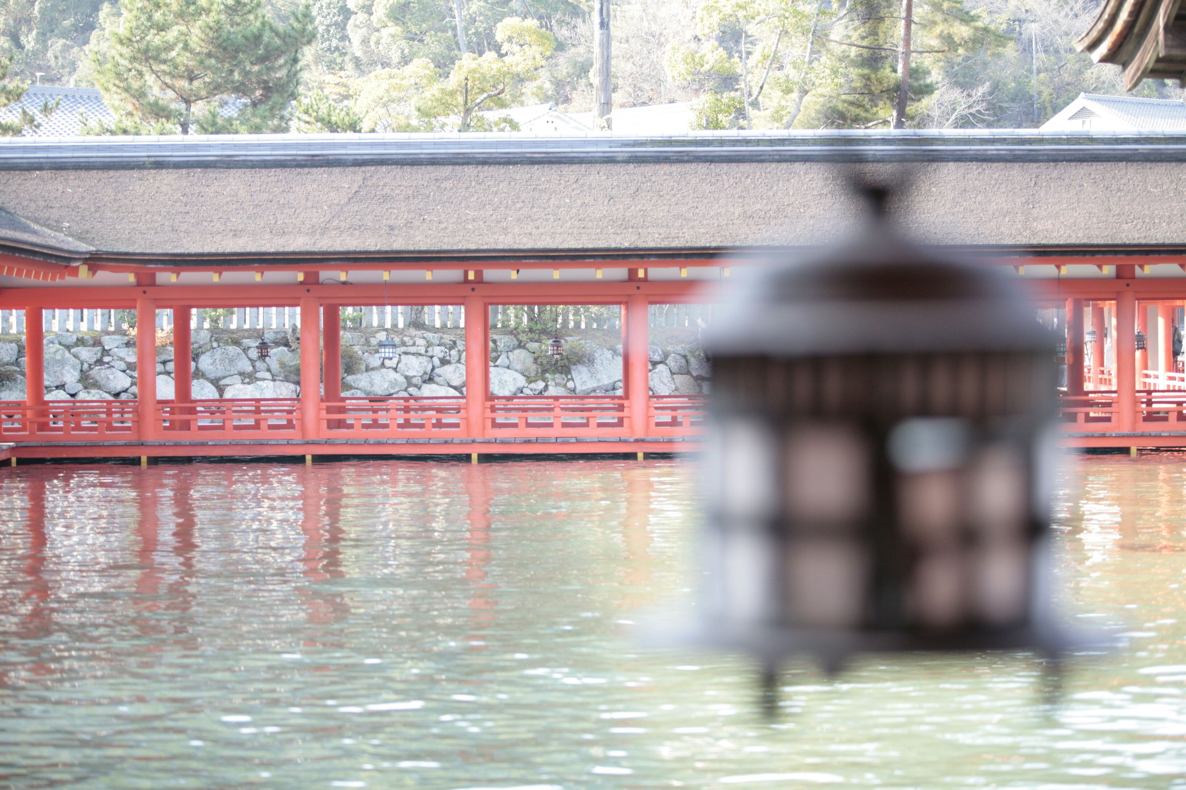 Photo - Itsukushima Iroha