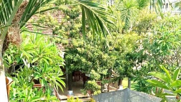 A poolside area with lounge chairs and umbrellas, surrounded by lush greenery and palm trees. - Hotel Mylovina (Buleleng)