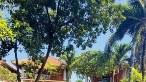 A courtyard with a pool, palm trees, and a building with a red roof. - Hotel Mylovina (Buleleng)