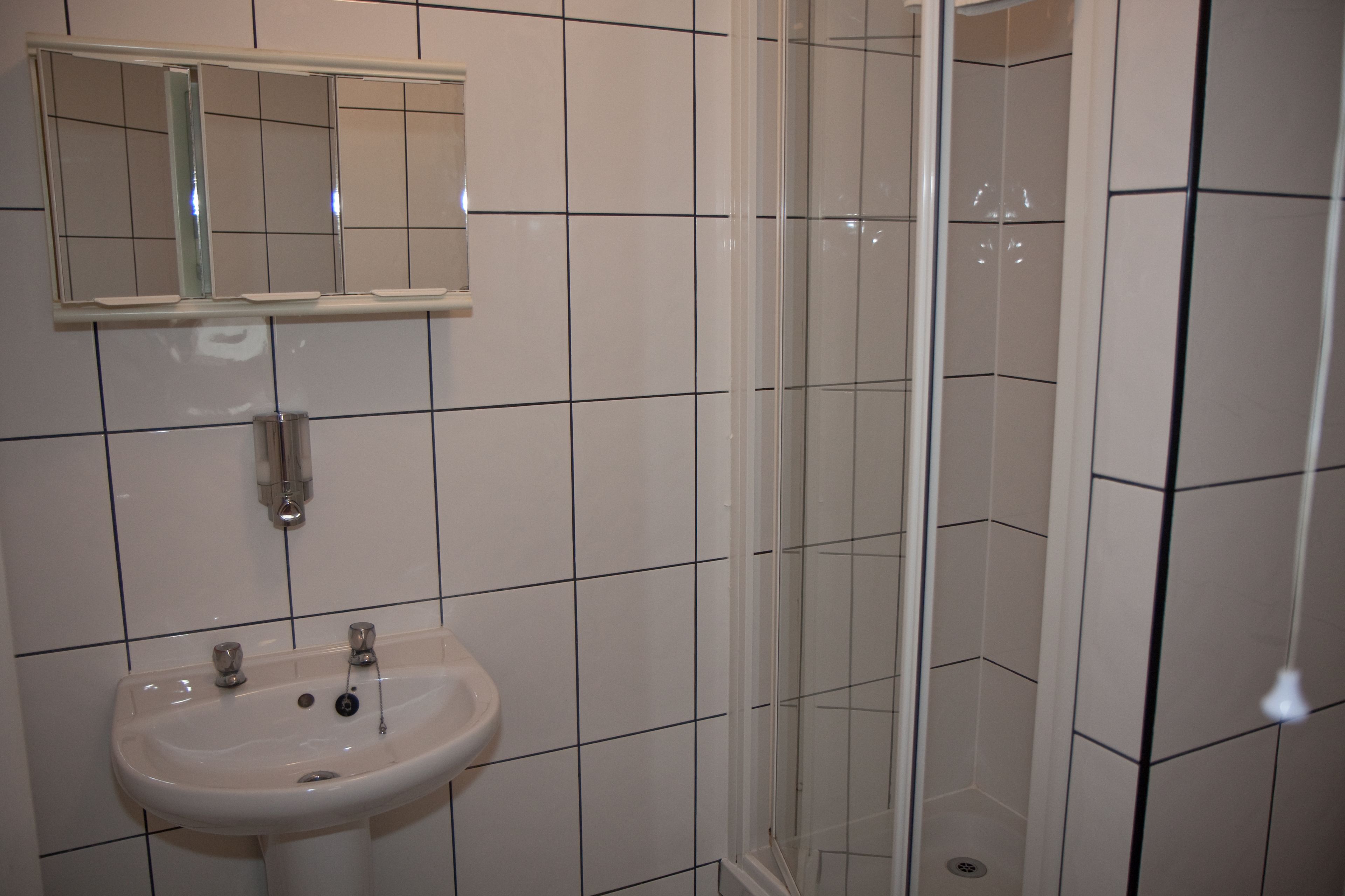 A bathroom with a sink, mirror, and shower.