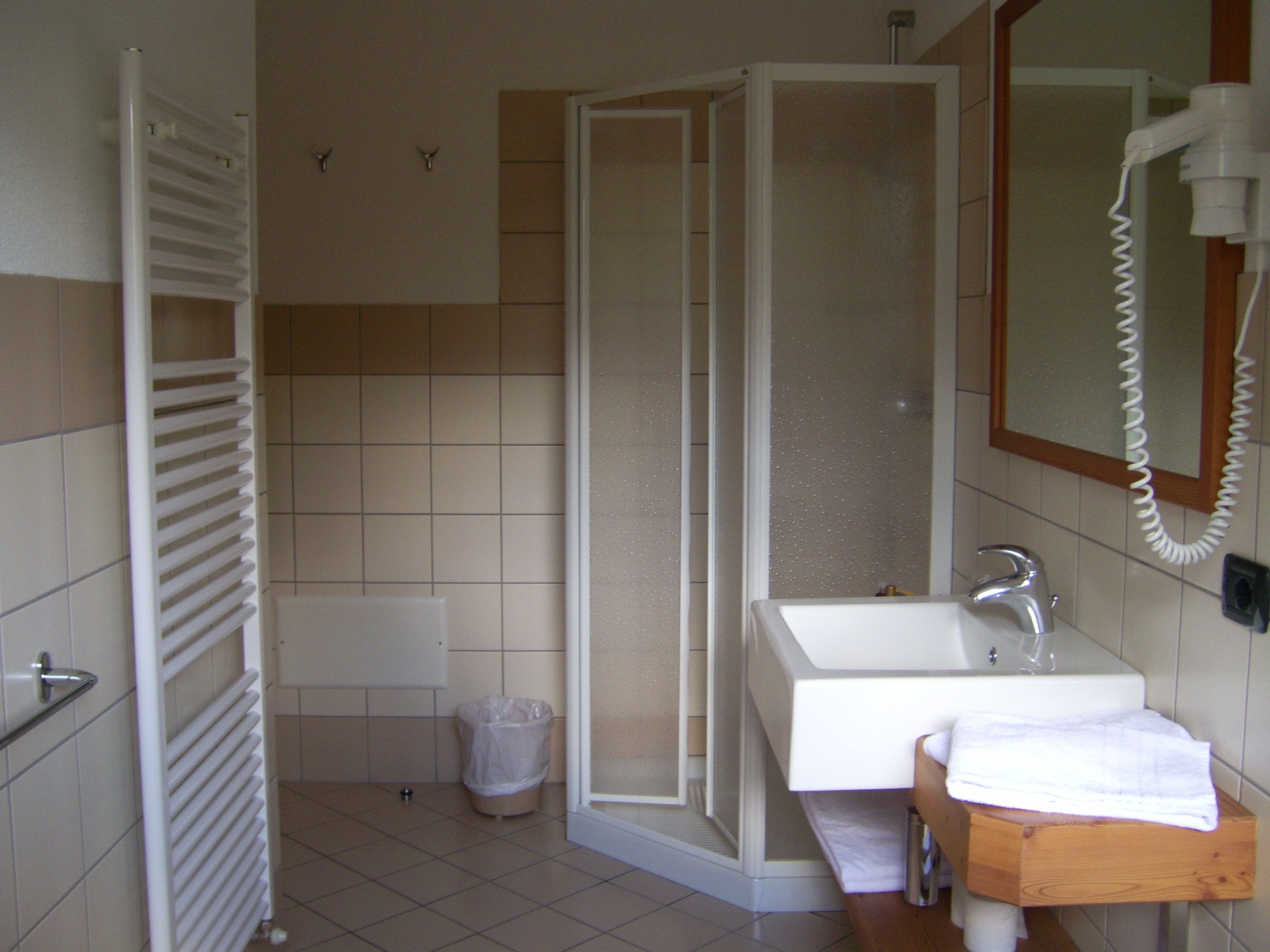 shower, free toiletries, hair dryer, bidet