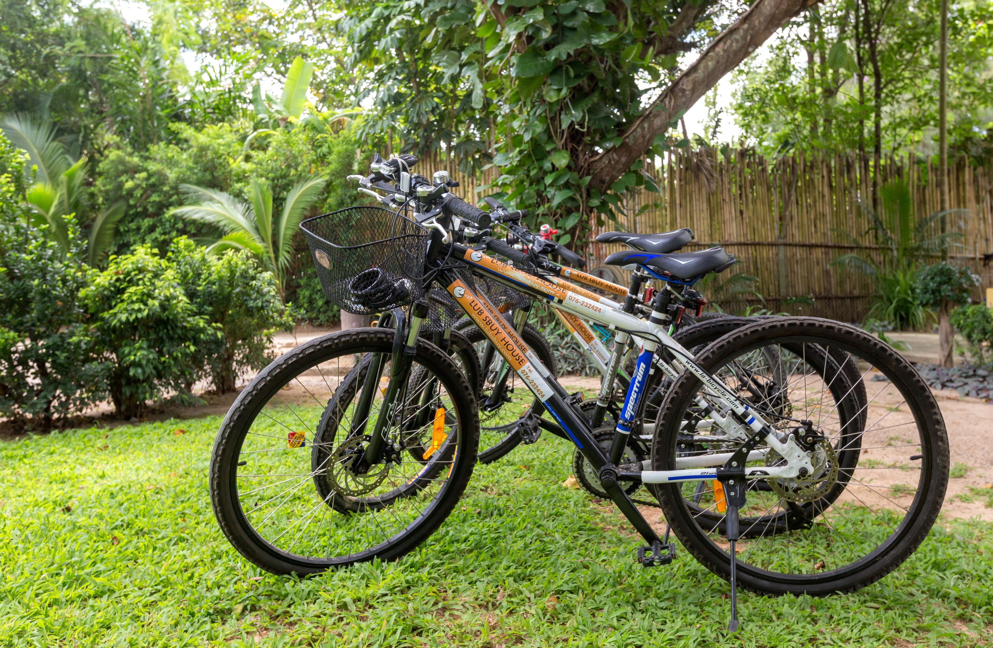 Foto - Lub Sbuy House Hotel - SHA