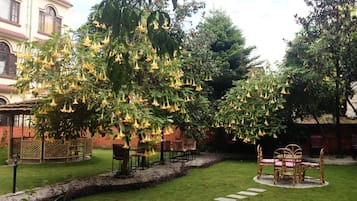 Jardim