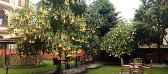 Alliance Hotel - Boudhanath Stupa
