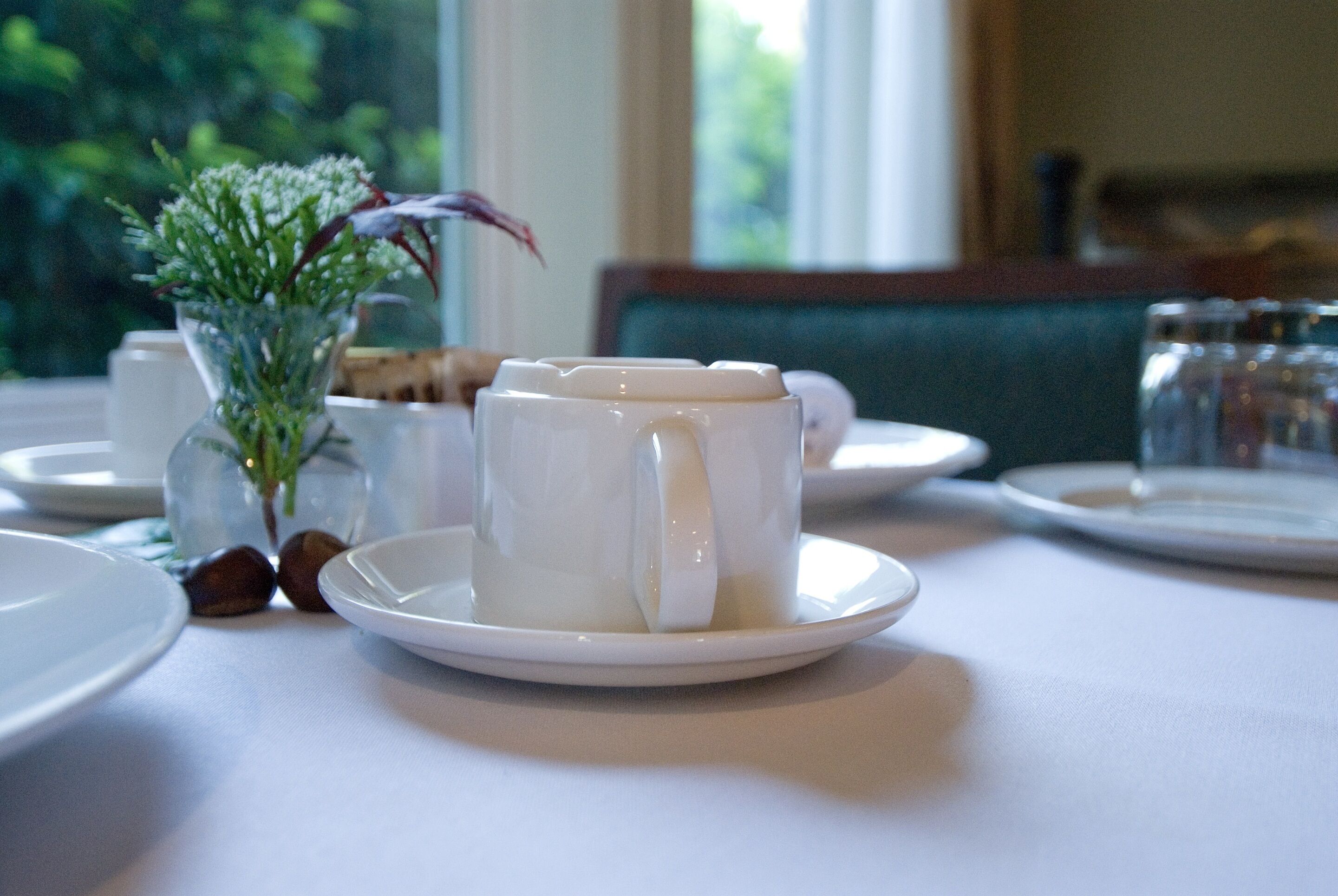 A dining table with a white plate, a white cup, and a small vase with green plants.