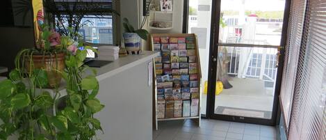 Zona de recepción con escritorio, planta y puerta que da al exterior.
