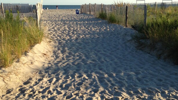A sandy beach path with a wooden fence on one side and a grassy area on the other. - Alante Oceanfront Motel (North Wildwood)