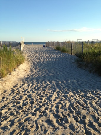 On the beach, surfing, rowing. Alante Oceanfront Motel