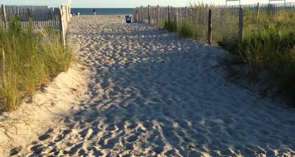 Alante Oceanfront Motel