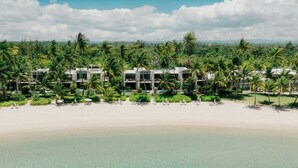 A beachfront resort with modern villas, clear turquoise waters, and lush palm trees. - Residences at Dorado Beach, a Ritz-Carlton Reserve (Dorado)