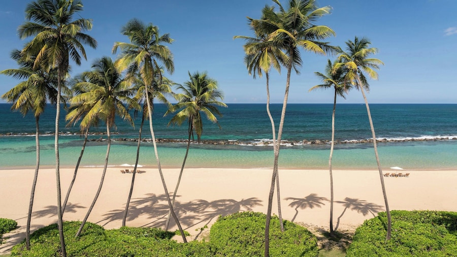 Residences at Dorado Beach, a Ritz-Carlton Reserve