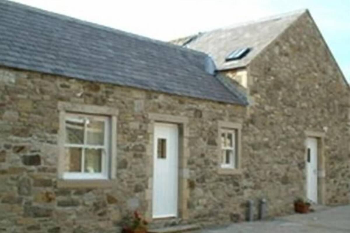 A stone building with two windows and a door, a small garden area with potted plants, and a sloped roof.