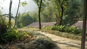 A pathway leading to a building with a tiled roof, surrounded by lush greenery and trees. - The Last Resort (Listikot)