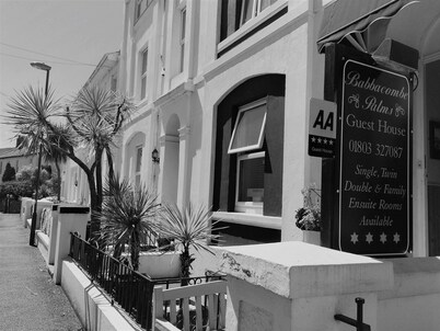 Babbacombe Palms