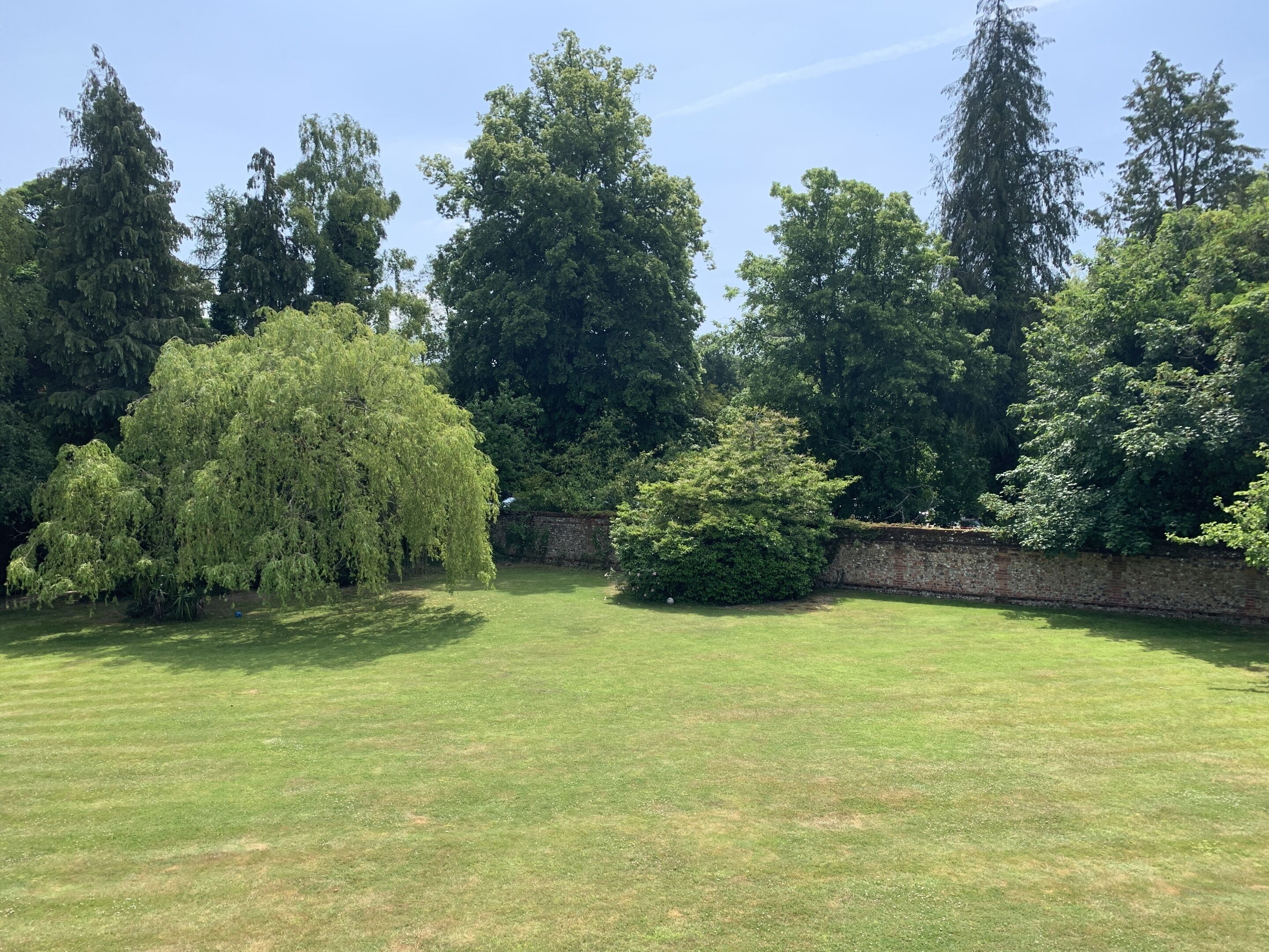 A well-maintained lawn with a variety of trees and a brick wall in the background.