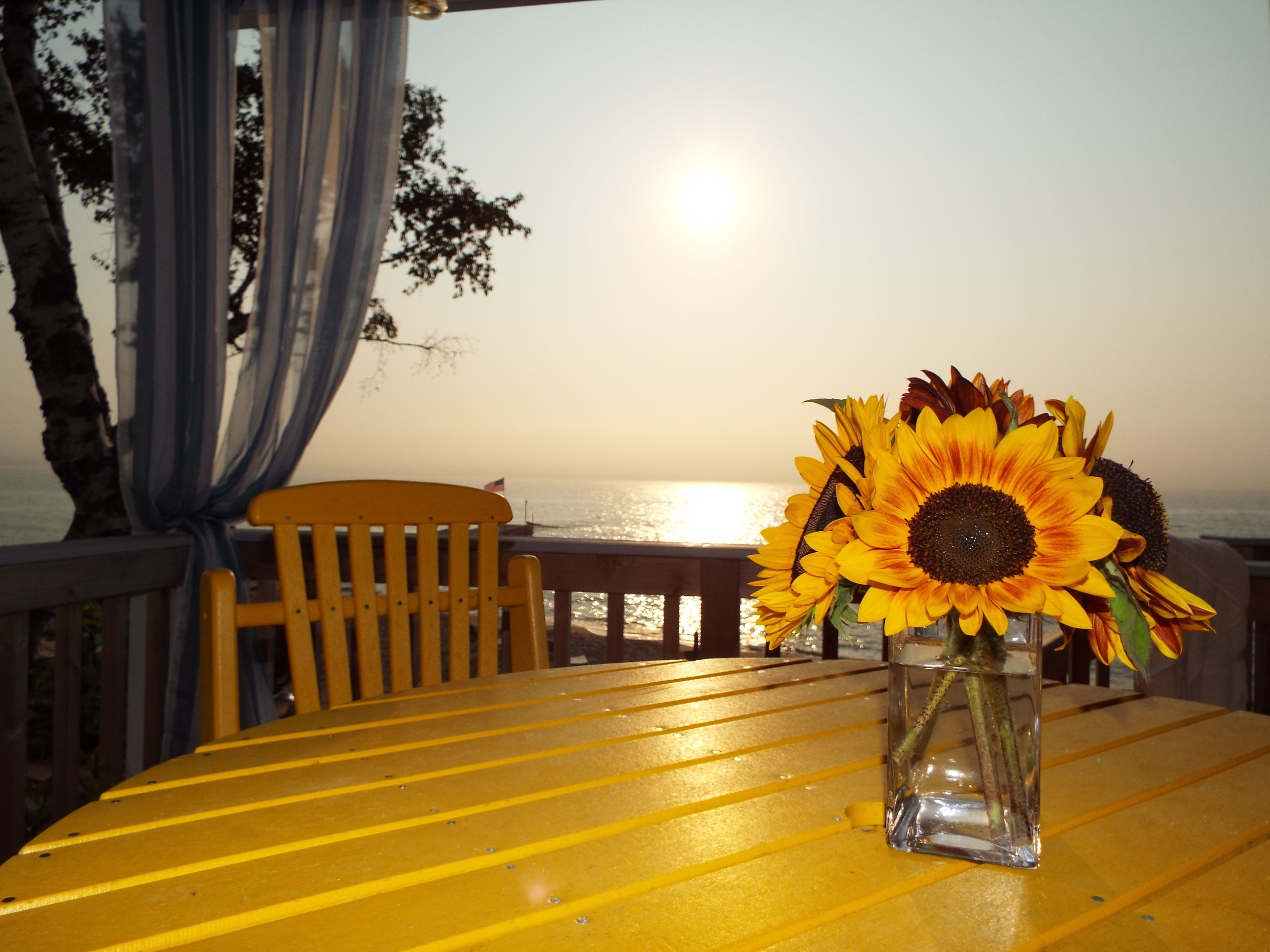 Una mesa de madera con un jarrón de girasoles y vistas al océano al atardecer.