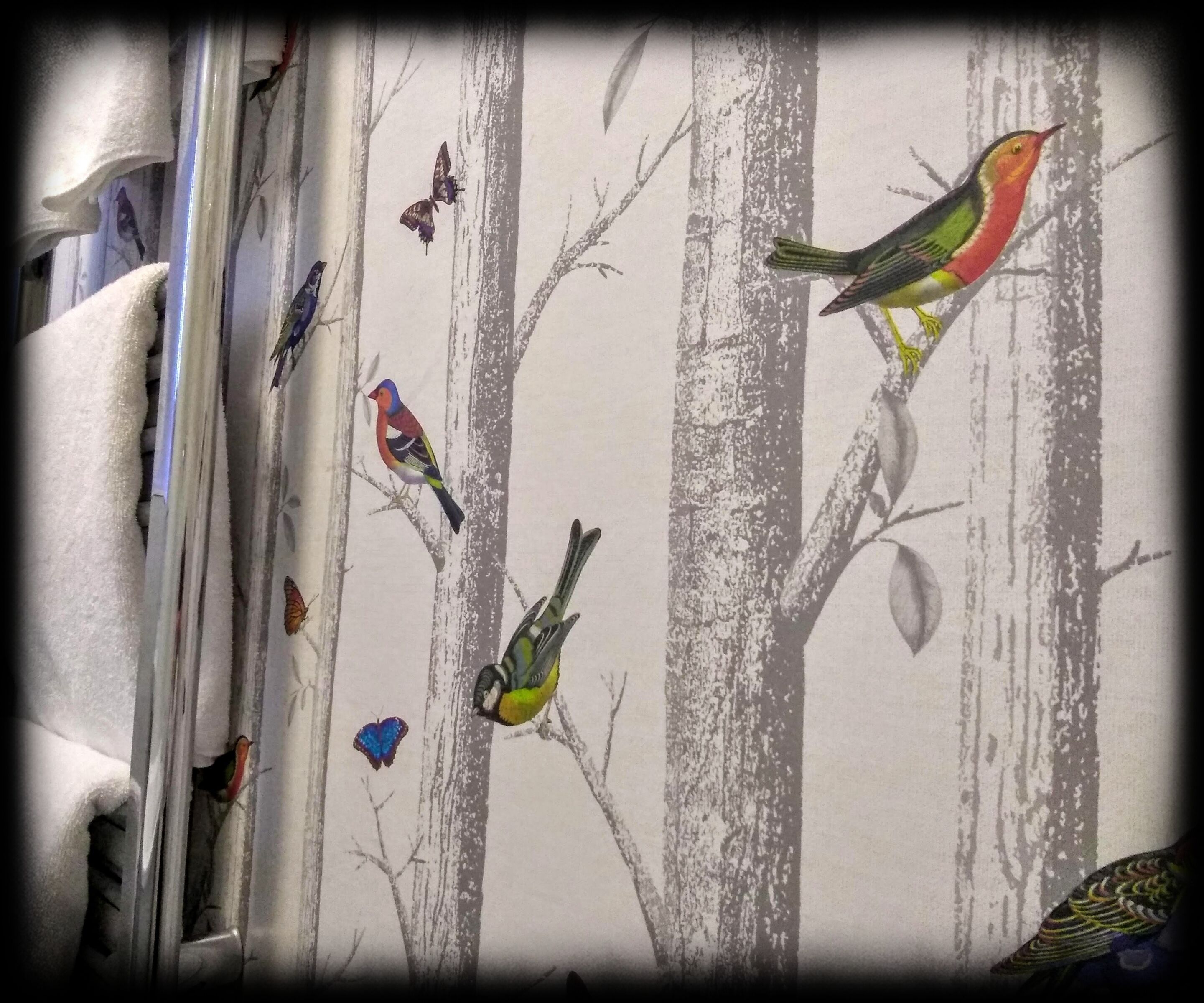 Una pared con papel tapiz de motivos forestales, con aves y mariposas.