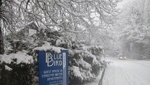 A sign for Bluebird Lodge advertising guest houses and apartments. - Bluebird Lodge and Waterhead Apartment (Coniston)