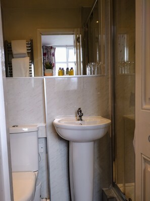 A bathroom with a toilet, sink, and shower. - Bluebird Lodge and Waterhead Apartment (Coniston)