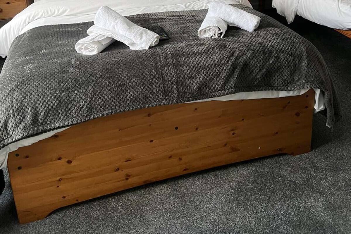 A double bed with a grey blanket and pillows, a wooden headboard, and a small bedside table with a plant.