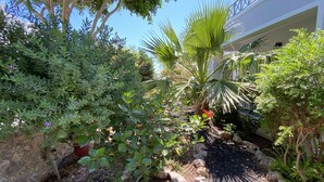 A garden with various plants and a palm tree. - Kalya Suites (Santorini)