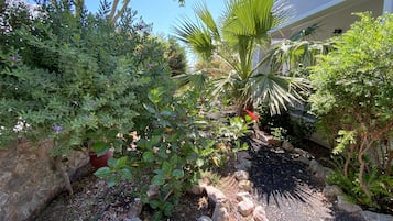 Vue sur le jardin