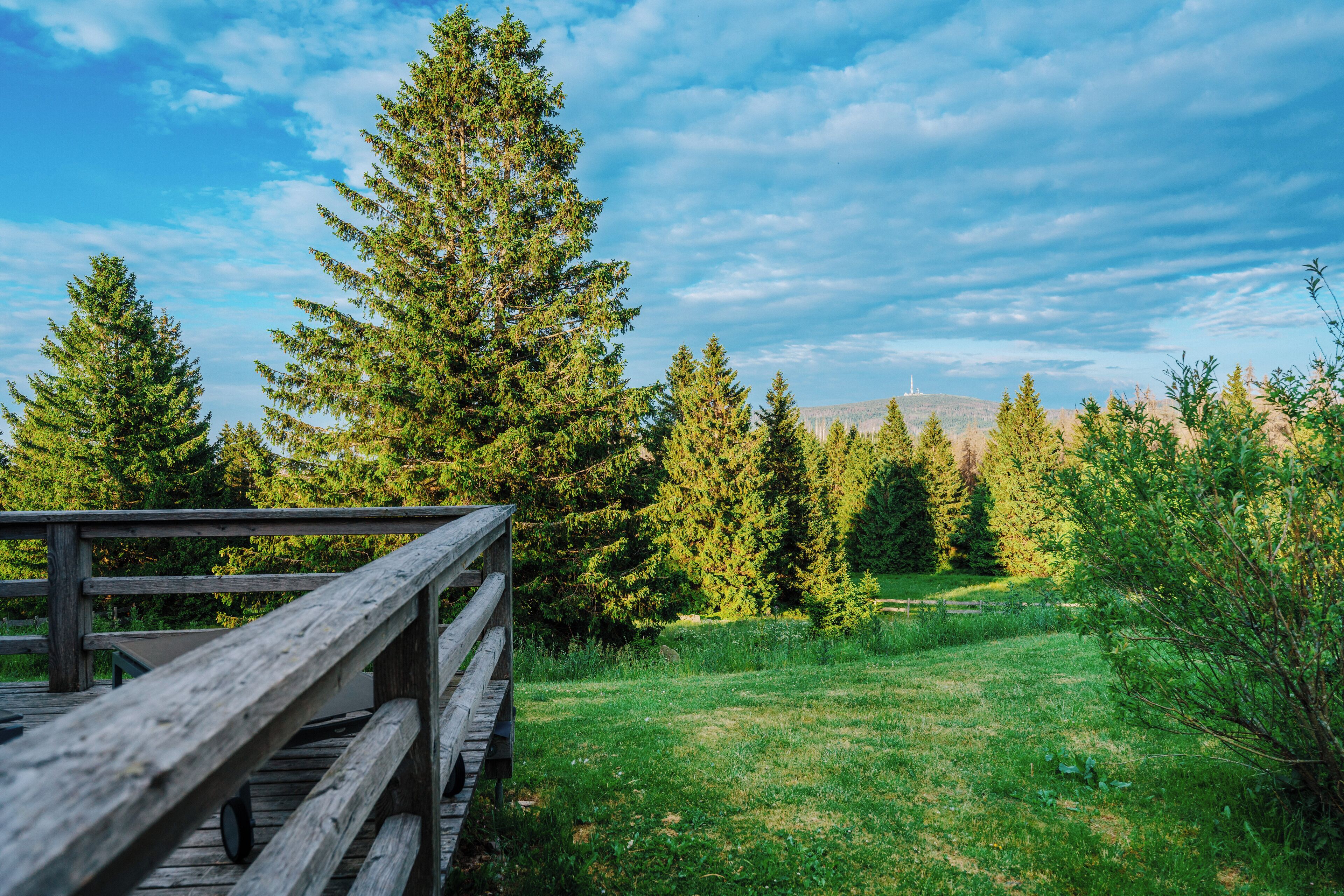 A wooden deck with a view of a forest and a distant mountain range.