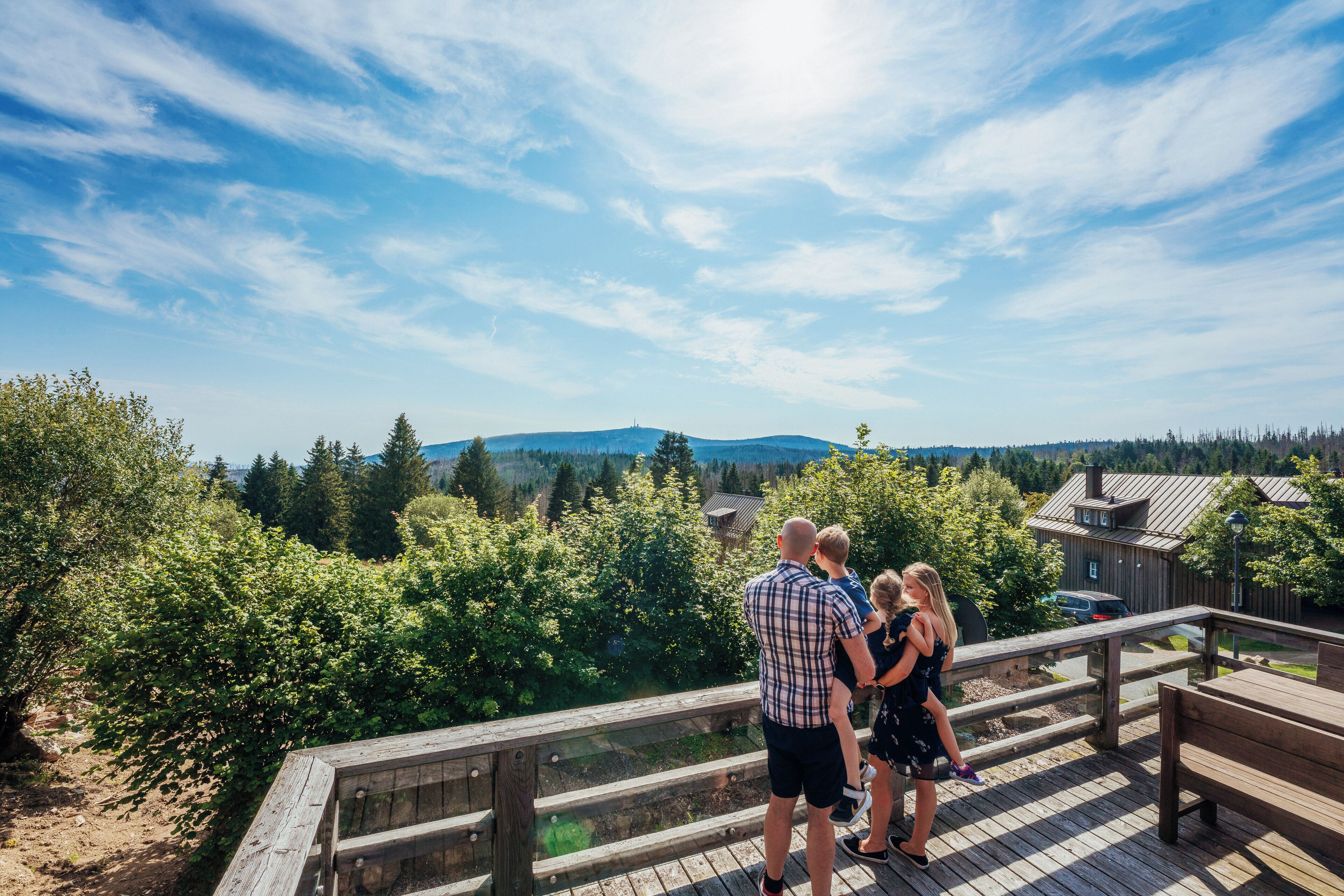 A wooden deck overlooking a forested area with a clear sky.