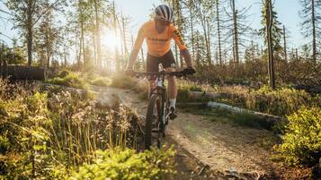A cyclist on a dirt path surrounded by trees and vegetation.