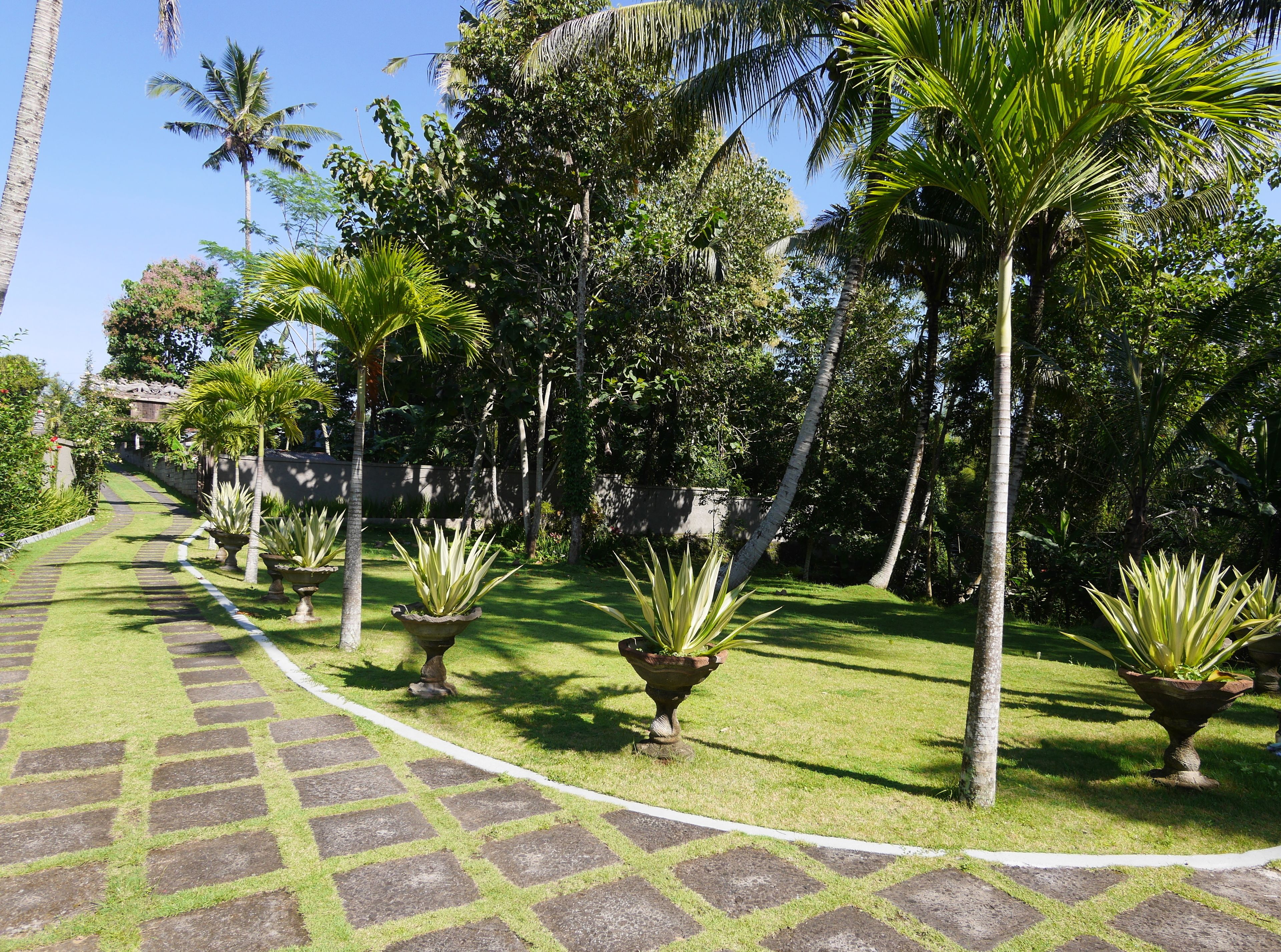 Un sendero bordeado de palmeras y plantas de agave que conduce a un edificio de estilo arquitectónico tradicional.