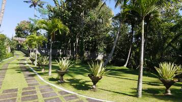 Un sendero bordeado de palmeras y plantas de agave que conduce a un edificio de estilo arquitectónico tradicional.