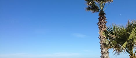 On the beach, sun-loungers, beach umbrellas