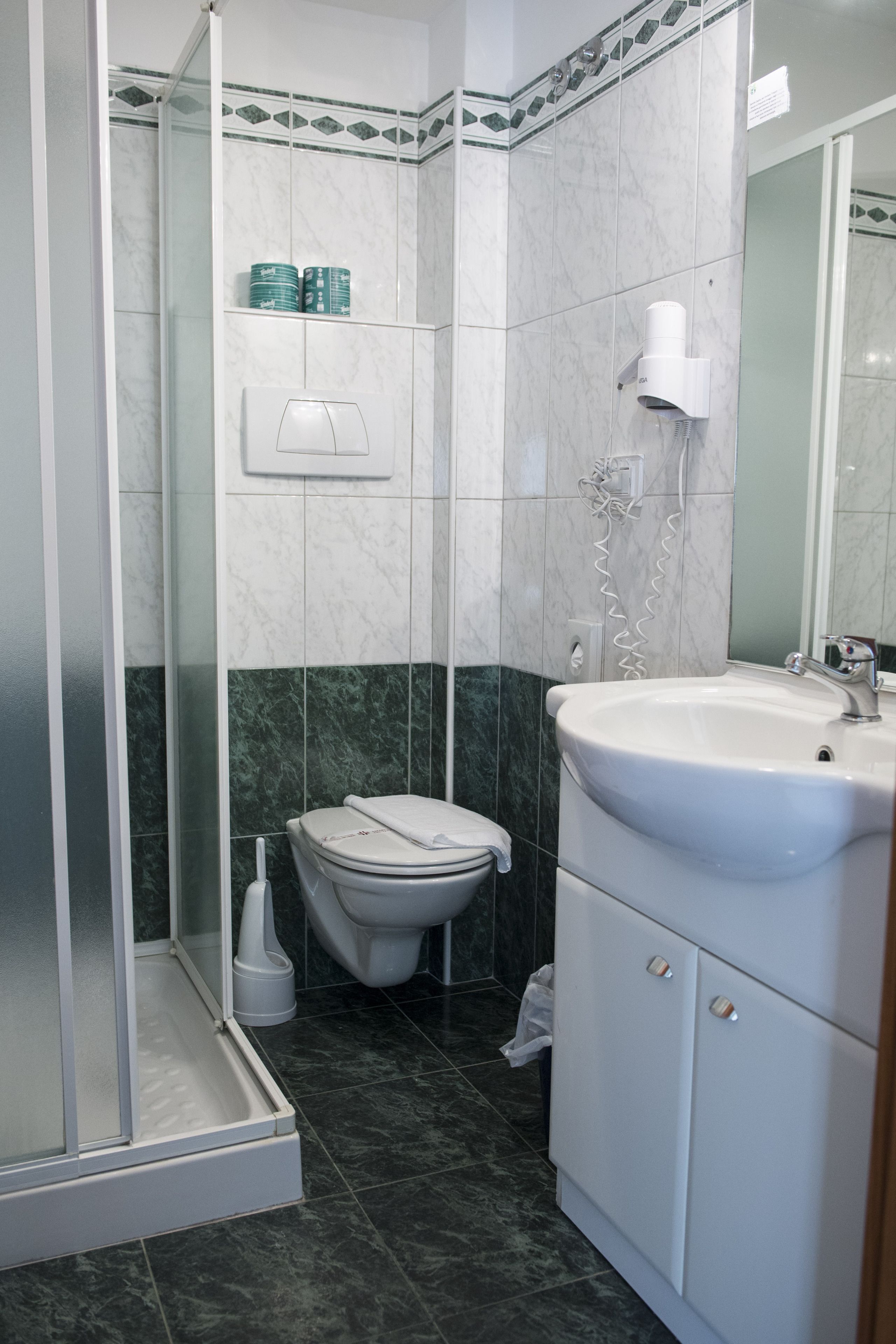family room | bathroom | shower, free toiletries, hair dryer, towels