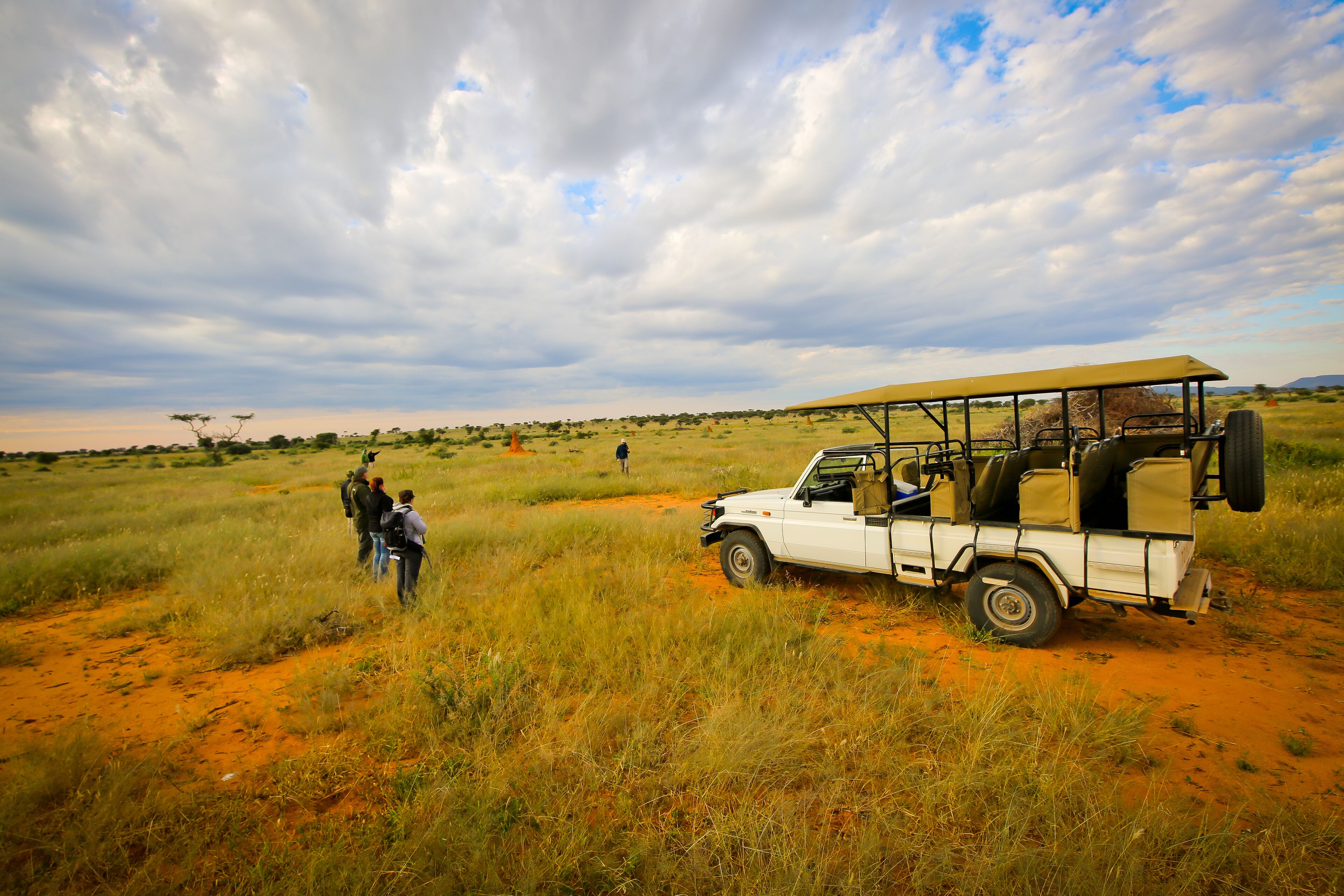 Game viewing