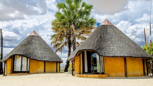 Thatched-roof huts with large windows, situated on sandy ground, with a palm tree in the background. - Ongula Village Homestead Lodge (Ondangwa)