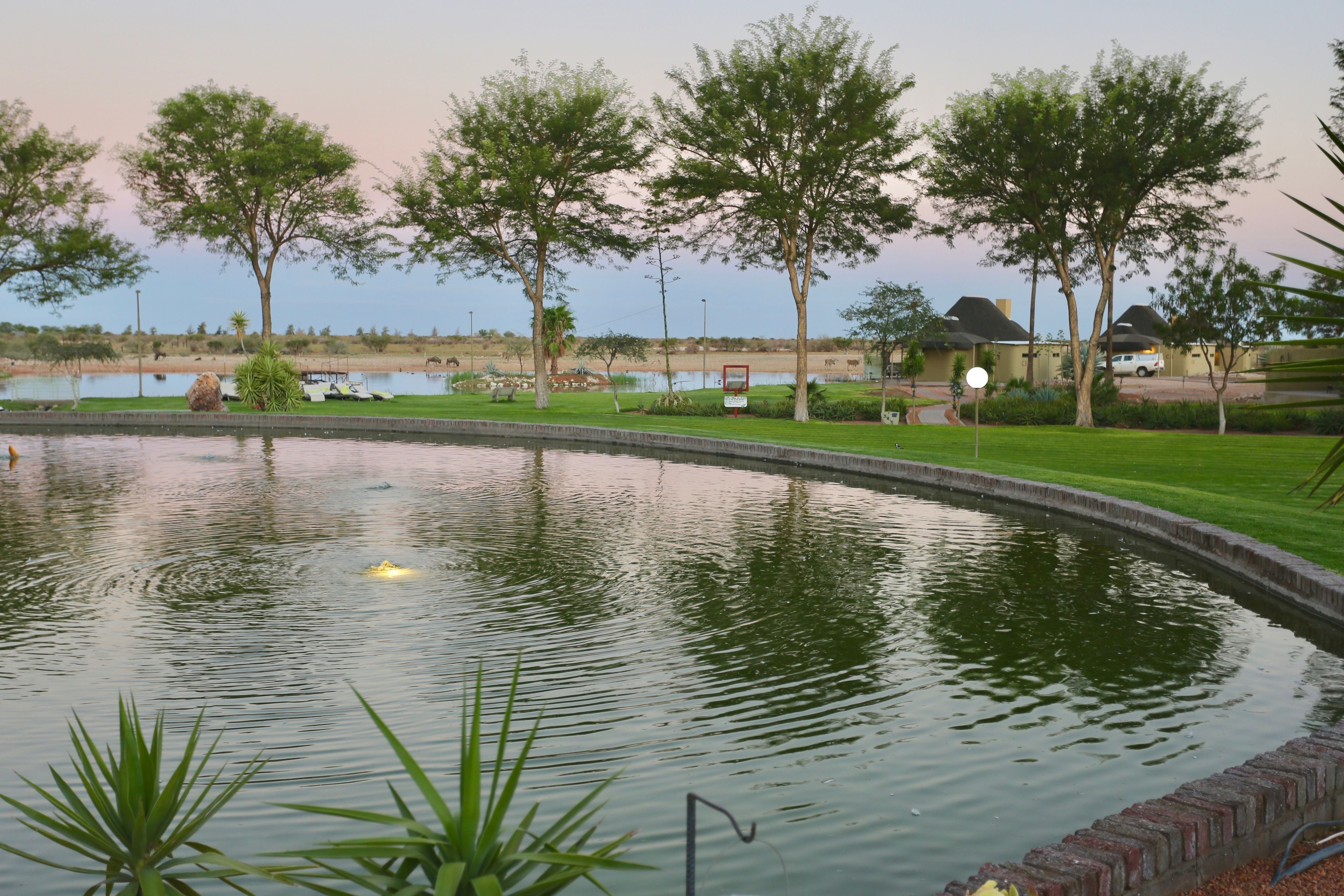 Vue depuis l’hébergement