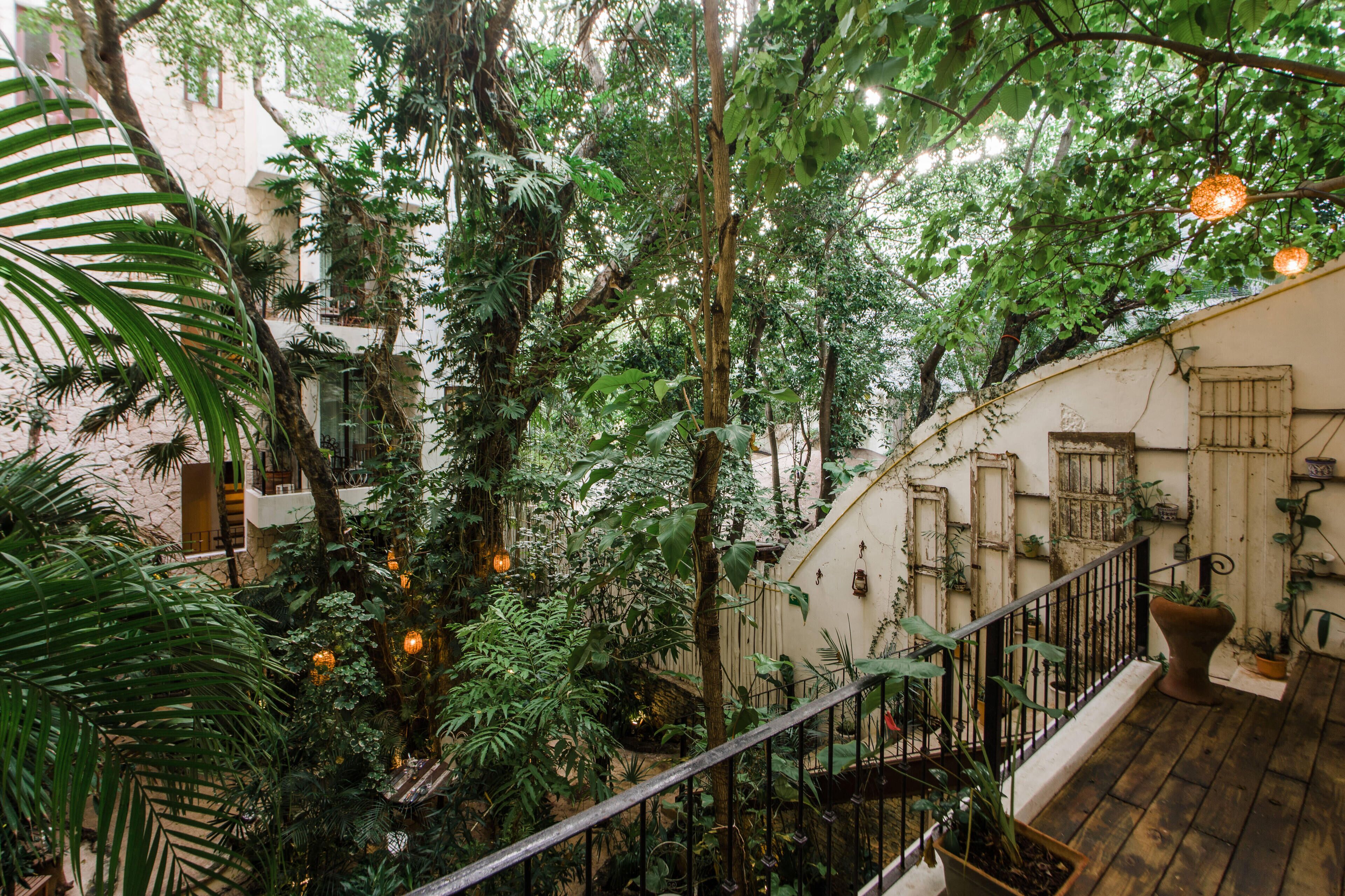 Foto - Hotel La Semilla a Member of Design Hotels