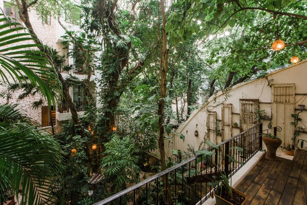 A lush indoor garden with a wooden staircase, potted plants, and hanging lights. - Hotel La Semilla, Playa del Carmen, a Member of Design Hotels - Adults Only (Playa del Carmen)